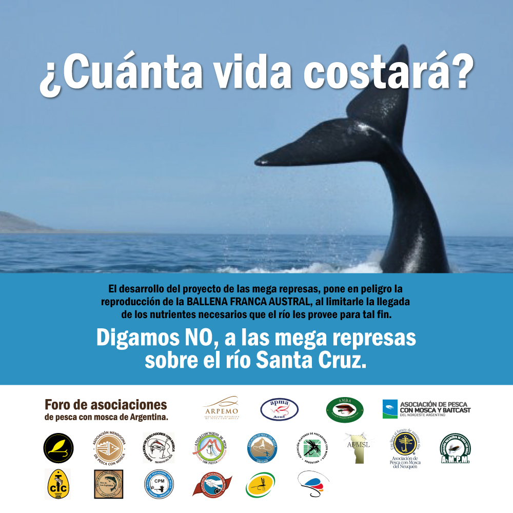 CUANTA-VIDA-FACE-BFA